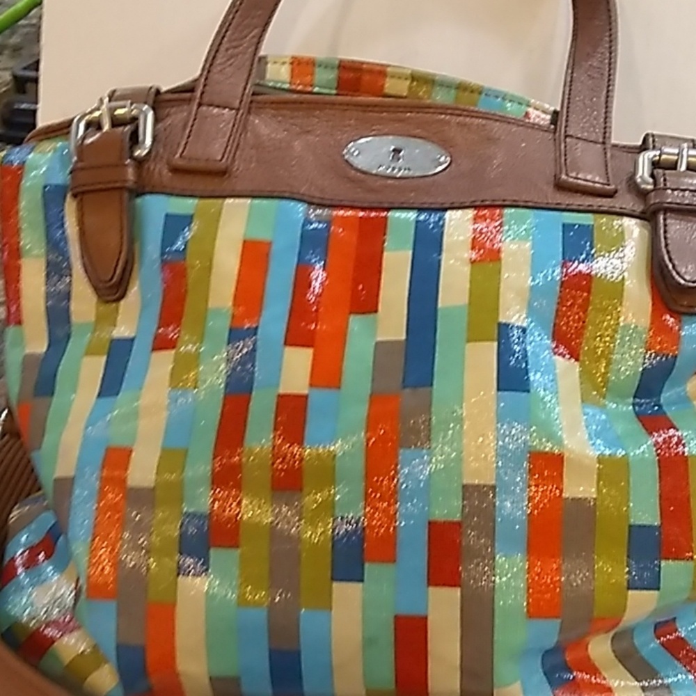 Large fossil bag